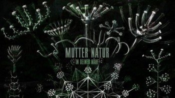 Mutter Natur Kurzfilm