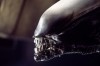 Alien_-_Das_unheimliche_Wesen_aus_einer_fremden_Welt_70855 Alien_-_Das_unheimliche_Wesen_aus_einer_fremden_Welt_70855