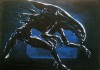 Aliens_-_Die_Rueckkehr_70933