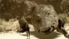 Megashark gegen Crocosaurus Szenenbild 4 Megashark gegen Crocosaurus Szenenbild 4