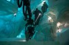 THE_THING_Szenenbild_16