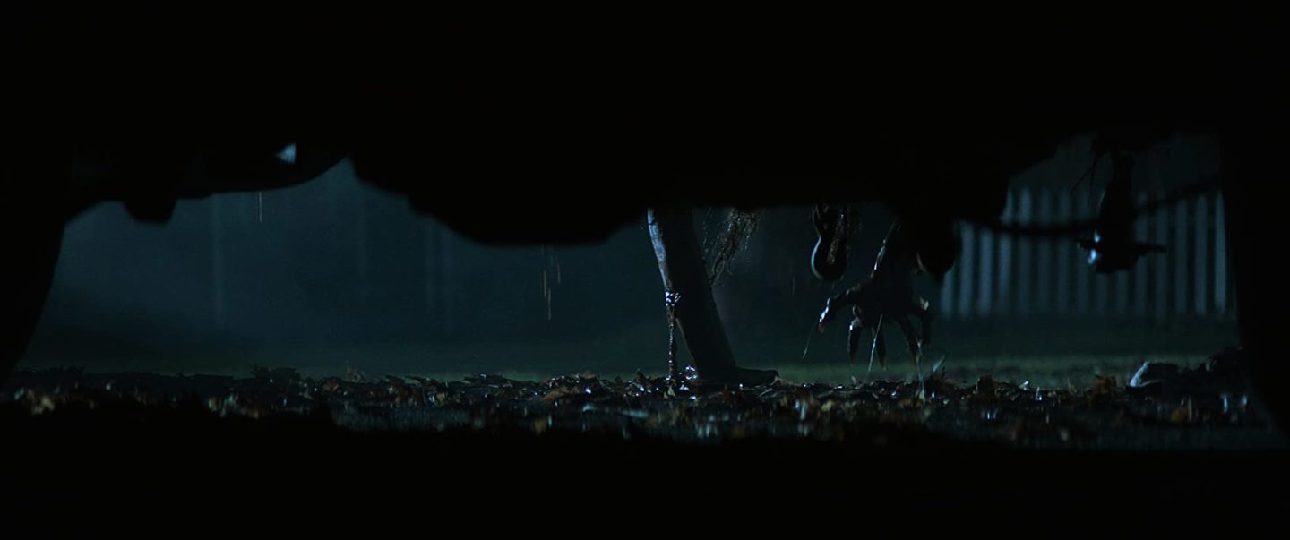 Atmosphärischer Clip aus dem HorrorWald von 