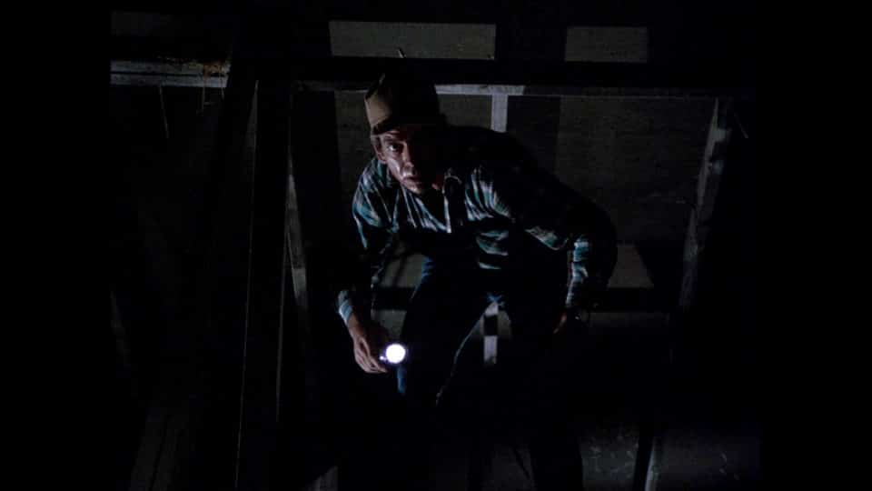 Die Nacht der Vogelscheuche - Film 1981 - Scary-Movies.de