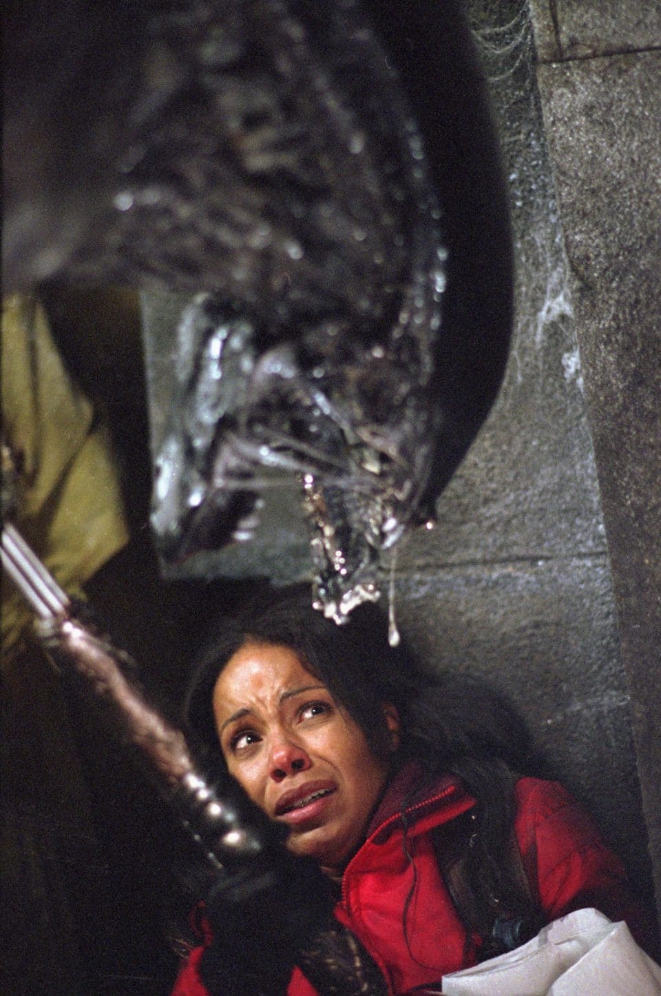 Agathe De La Boulaye Alien Vs Predator Alien vs. Predator - Film 2004 - Scary-Movies.de