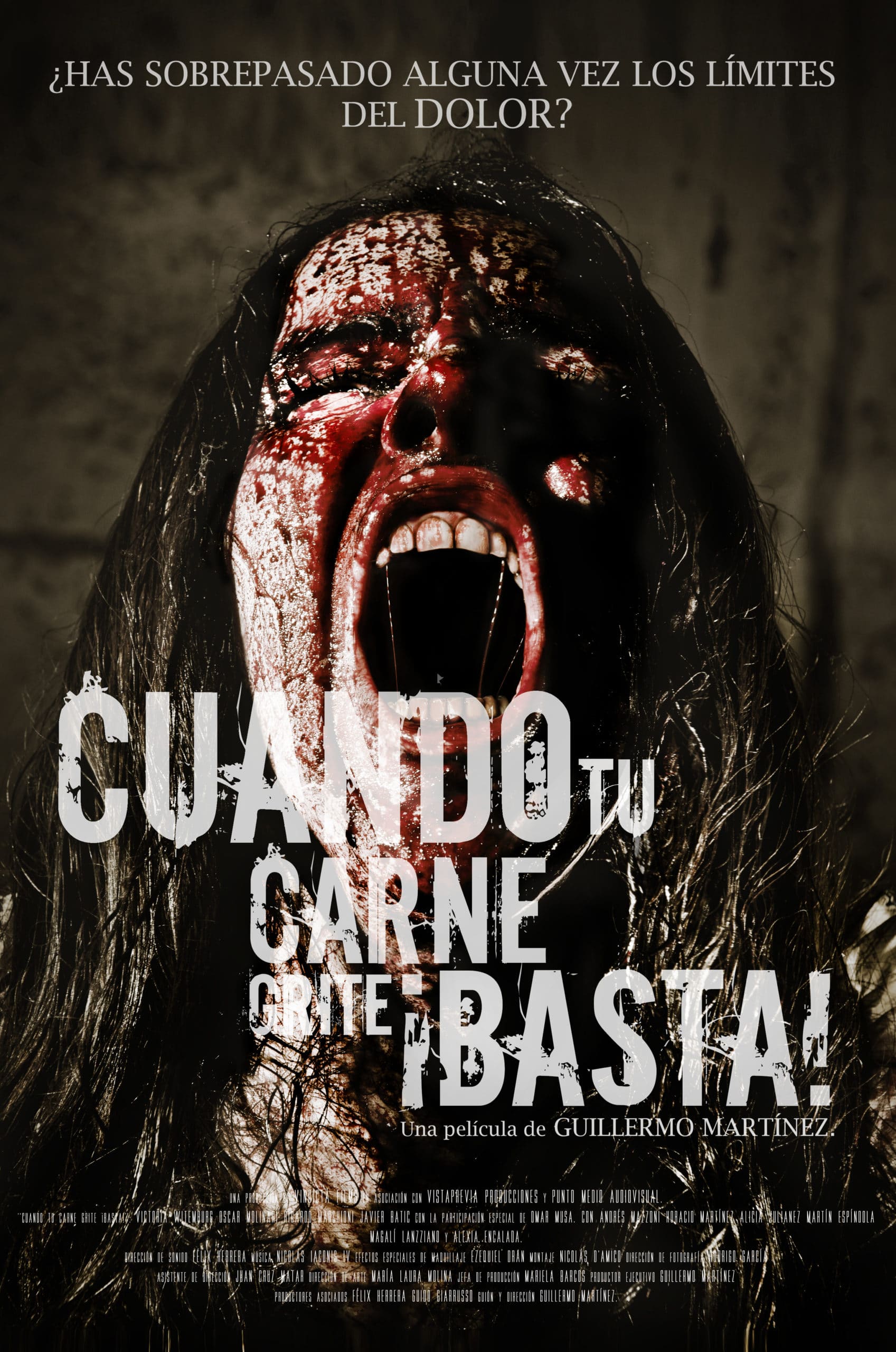 Film De Scary Movie When Your Flesh Screams - Film 2015 - Scary-Movies.de