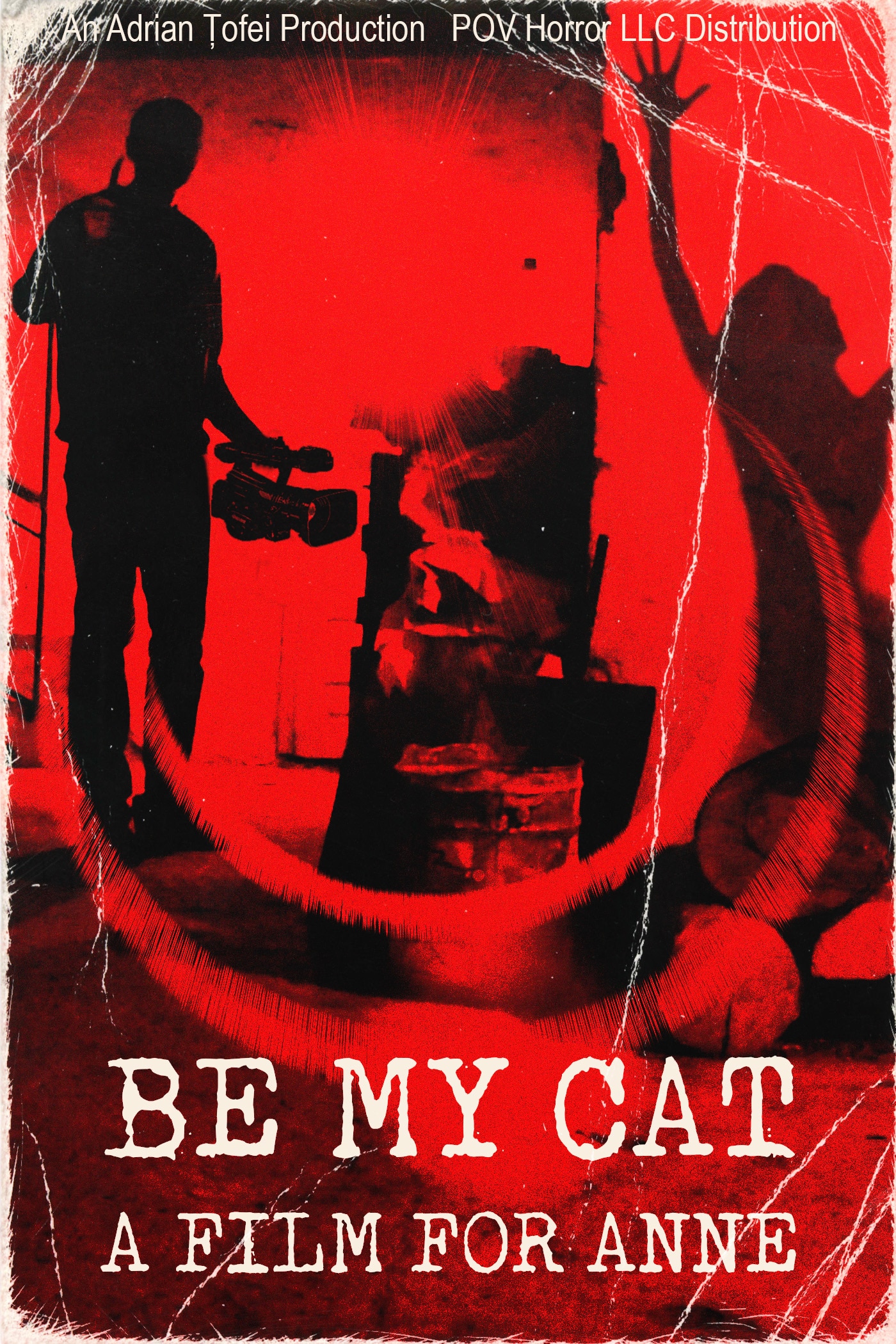Be My Cat A Film for Anne Film 2015 ScaryMovies.de