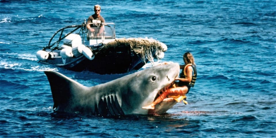 Der Weiße Hai Das Böse In Uns Ein Film Der Die Welt Veränderte - 3grneq4